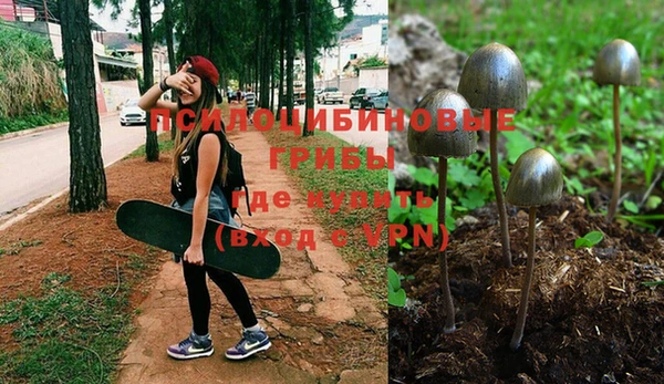 spice Армянск