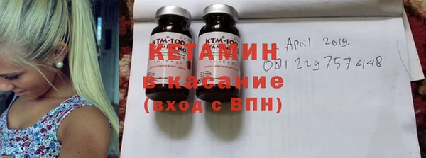 крисы Алексин