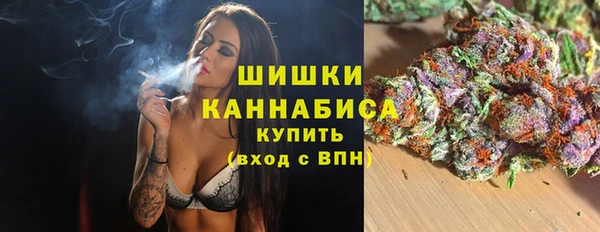 трава Арсеньев