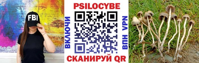 Галлюциногенные грибы ЛСД Междуреченск