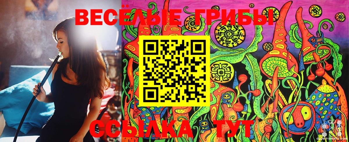 Псилоцибиновые грибы Psilocybine cubensis Междуреченск